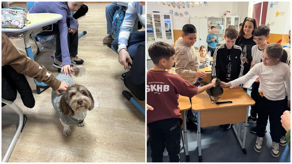 Opționalul „Ora cu și pentru animale” va fi introdus în școli la nivel național: „Va face din elevii de azi niște adulți responsabili”