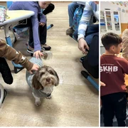 photo collage png   2026 02 12T195439 401 png