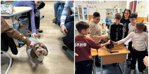 Opționalul „Ora cu și pentru animale” va fi introdus în școli la nivel național FOTO: Facebook/Hubert Thuma