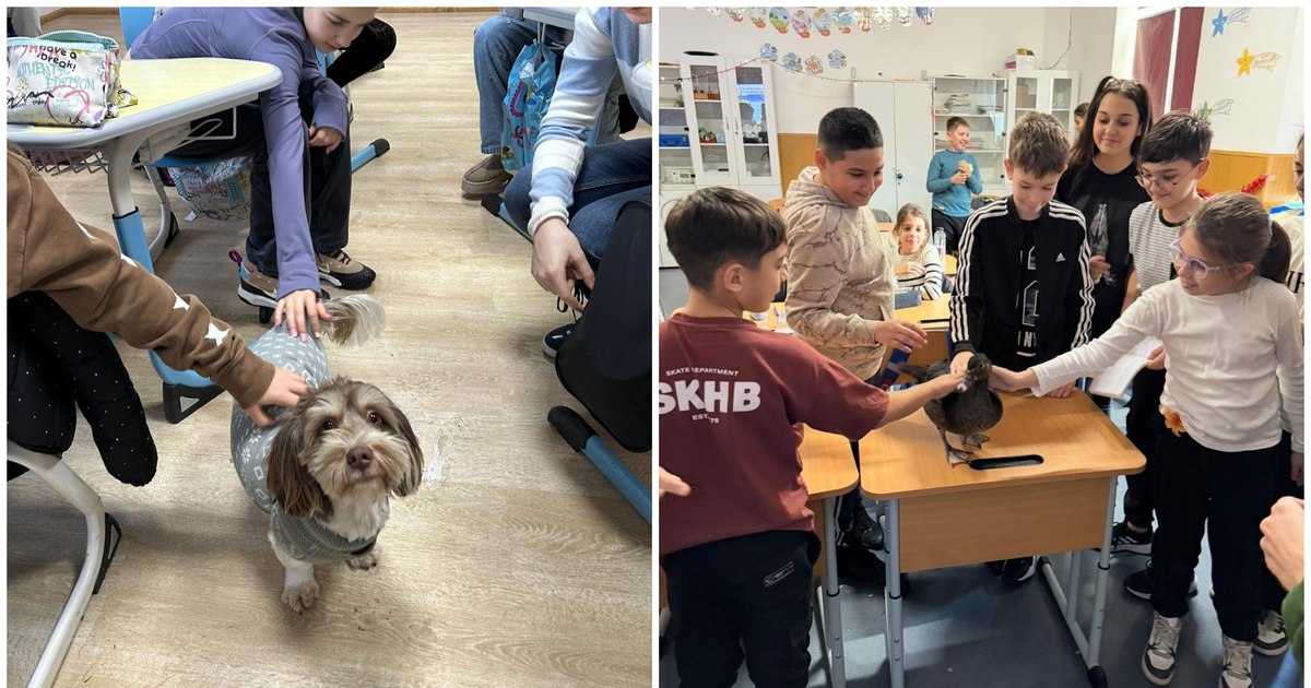 Opționalul „Ora cu și pentru animale” va fi introdus în școli la nivel național: „Va face din elevii de azi niște adulți responsabili”