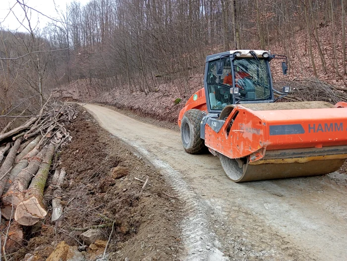 Pregătirea șantierului la tunelurile pentru urși FOTO DRDP Timișoara