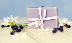 FigoDecor clicksanatate ro jpg
