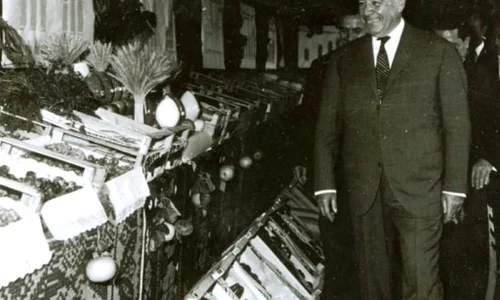 Cine a organizat accidentul lui Maurer: sovieticii sau Ceauşescu? jpeg