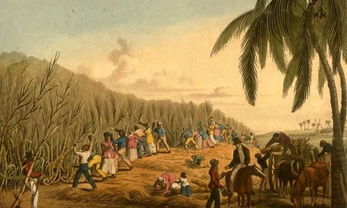 Zahărul, bunul de lux care a încurajat sclavia jpeg