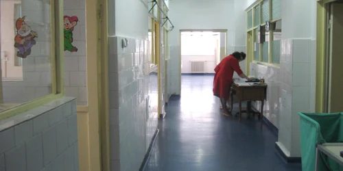 Holurile maternitatii