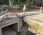 Drumul spre Lacul Gura Apelor  Foto Daniel Guță ADEVĂRUL (7) jpg