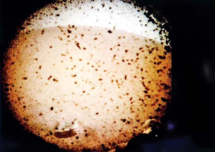 Prima  imagine transmisă de sonda spaţială InSight