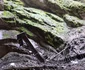 Ecologizare la Ghetarul Scărișoara Foto Parcul Natural Apuseni (8) jpg