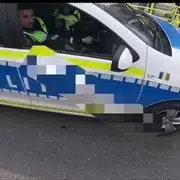 biciclist iasi gif gif