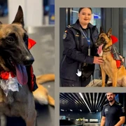 Hita caine costumat Aeroportul Otopeni foto  Poliţia de Frontieră jpg