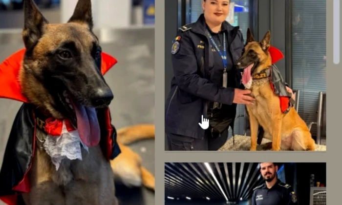 Hita caine costumat Aeroportul Otopeni foto Poliţia de Frontieră jpg