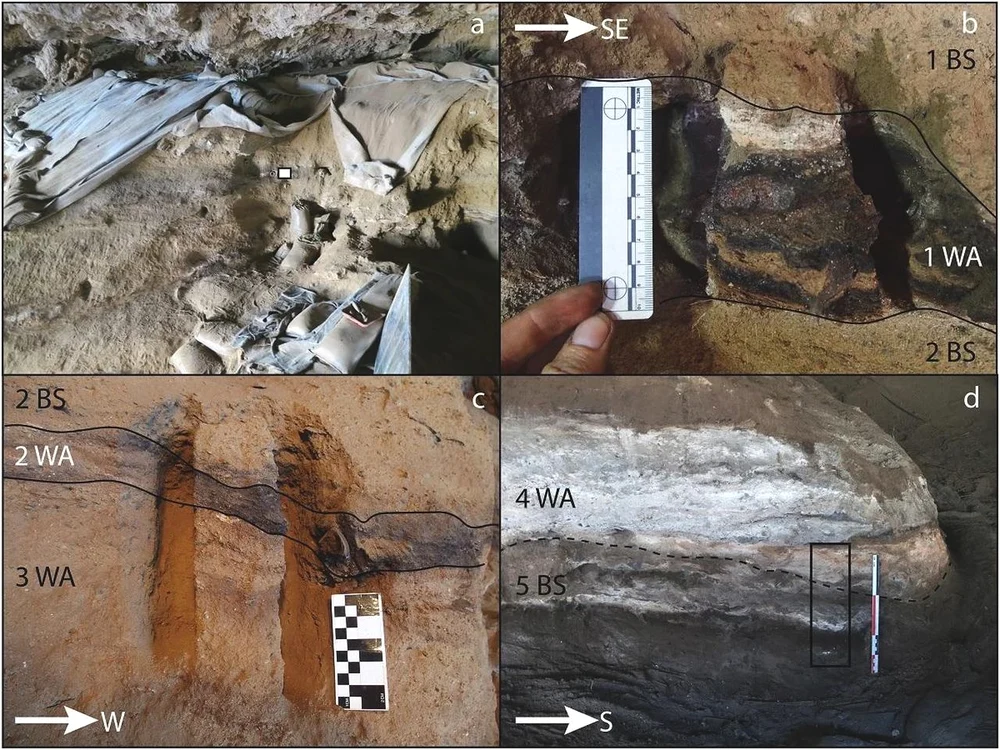 Cercetări în peștera Border (© Morrissey, P., and Stratford, D., Journal of Archaeological Science)