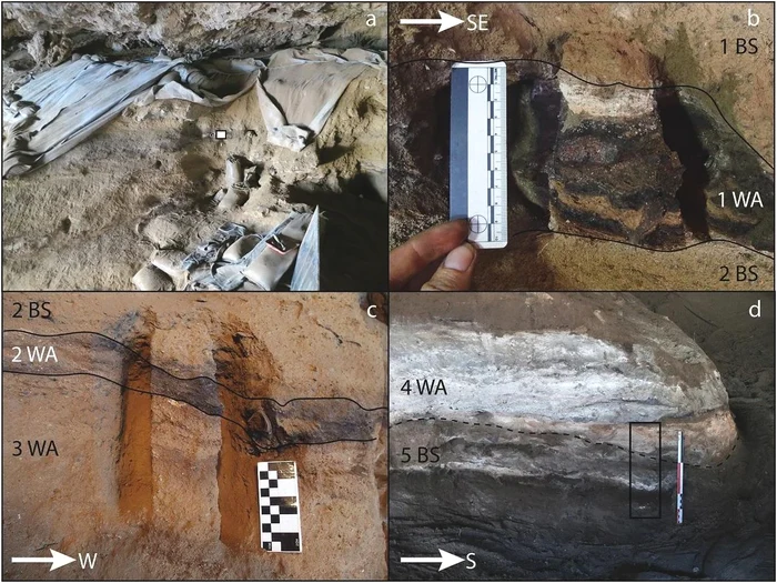 Cercetări în peștera Border (© Morrissey, P., and Stratford, D., Journal of Archaeological Science)