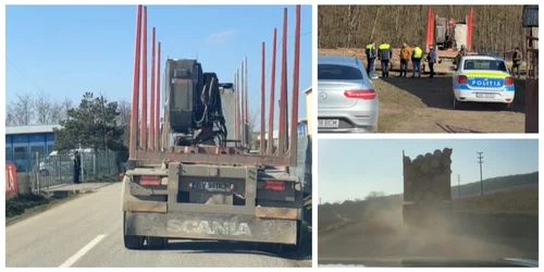 Camion de lemne confiscat FOTO stireasucevei ro jpg