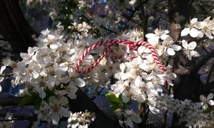 martisor in pom inflorit   foto pixabay jpg