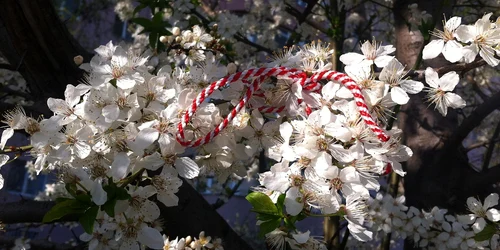 martisor in pom inflorit   foto pixabay jpg