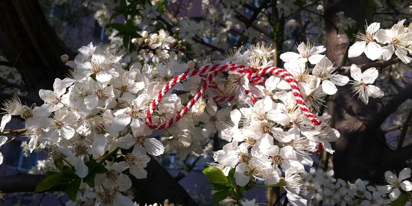 martisor in pom inflorit   foto pixabay jpg