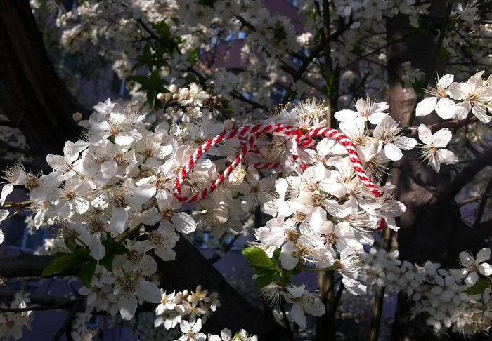 Mărțișorul a fost la început un șnur simplu alb-roșu - FOTO: Pixabay