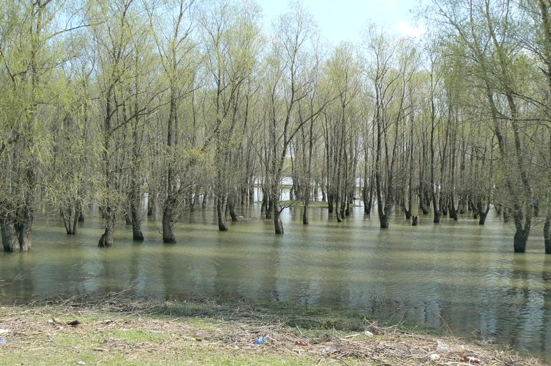 Bratul Macin vazut de pe digul facut de detinuti FOTO Marius Oprea