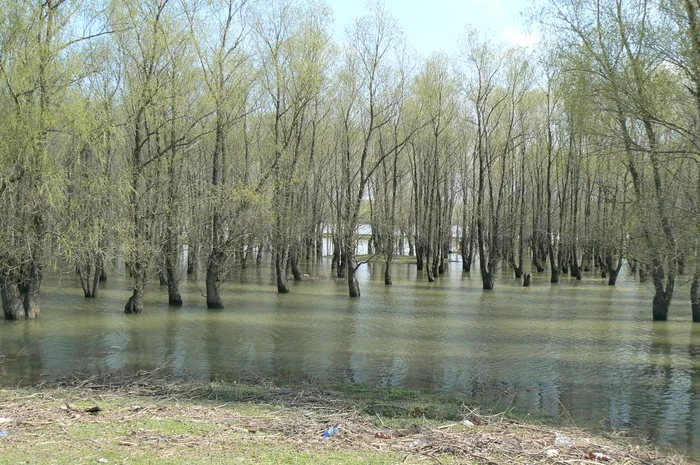 Bratul Macin vazut de pe digul facut de detinuti FOTO Marius Oprea