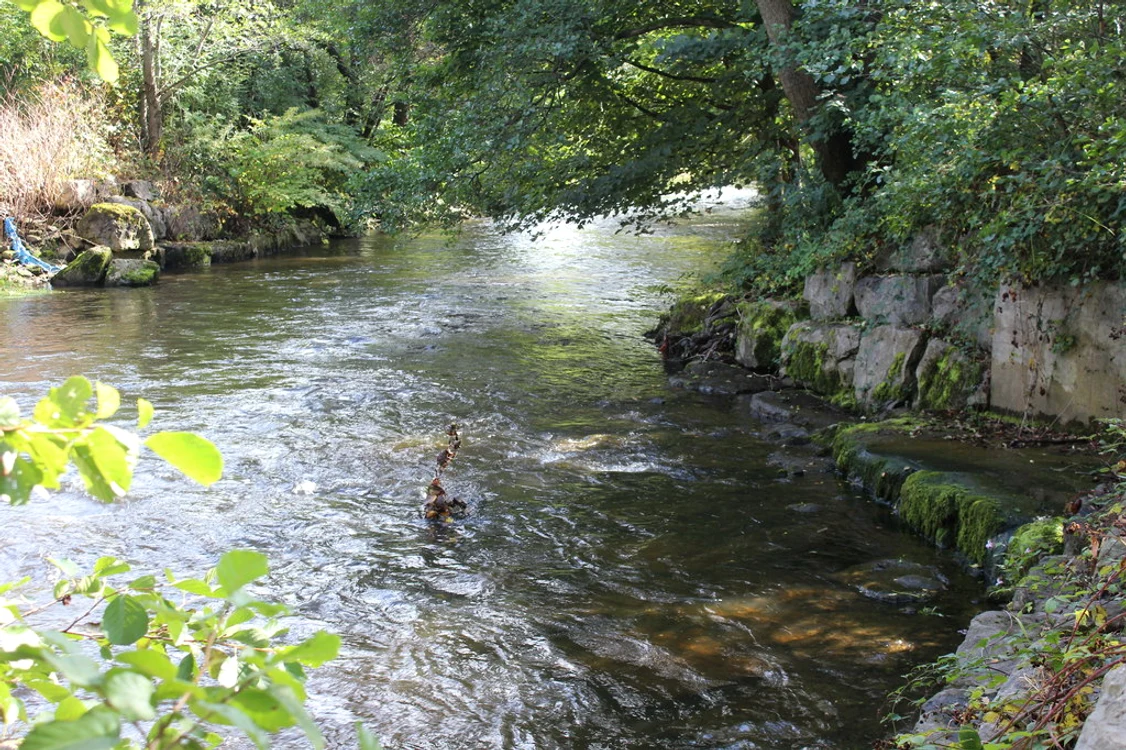 Râul Rhymney, din orășelul Blackwood (Țara Galilor)Foto: www.geograph.org.uk