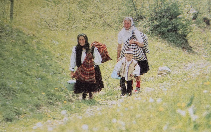 Maramureș in anii '80. Fotografii: Sandu Mendrea, Album Maramureș, Editura Sport - Turism, 1982 