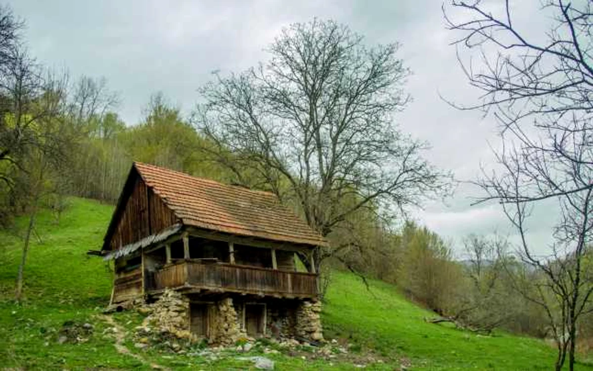 Casele pitoreşti din Tomnatec sunt părăsite. FOTO: Dan Terteci.