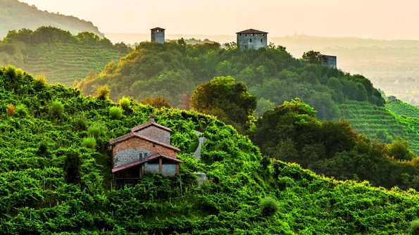 Regiunea Prosecco din Italia a intrat în patrimoniul UNESCO jpeg