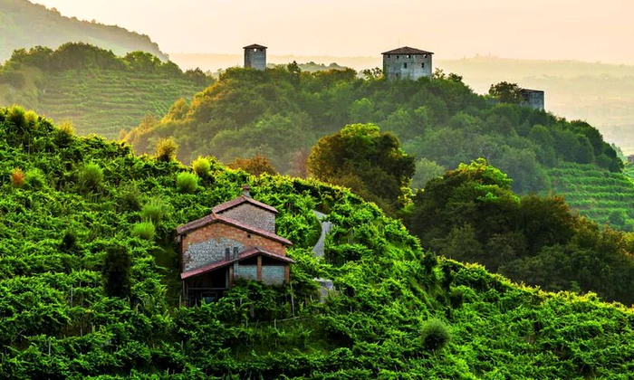 Regiunea Prosecco din Italia a intrat în patrimoniul UNESCO jpeg