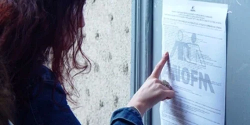 Satu Mare: Oraşul pe scurt/633 locuri de muncă vacante în judeţ