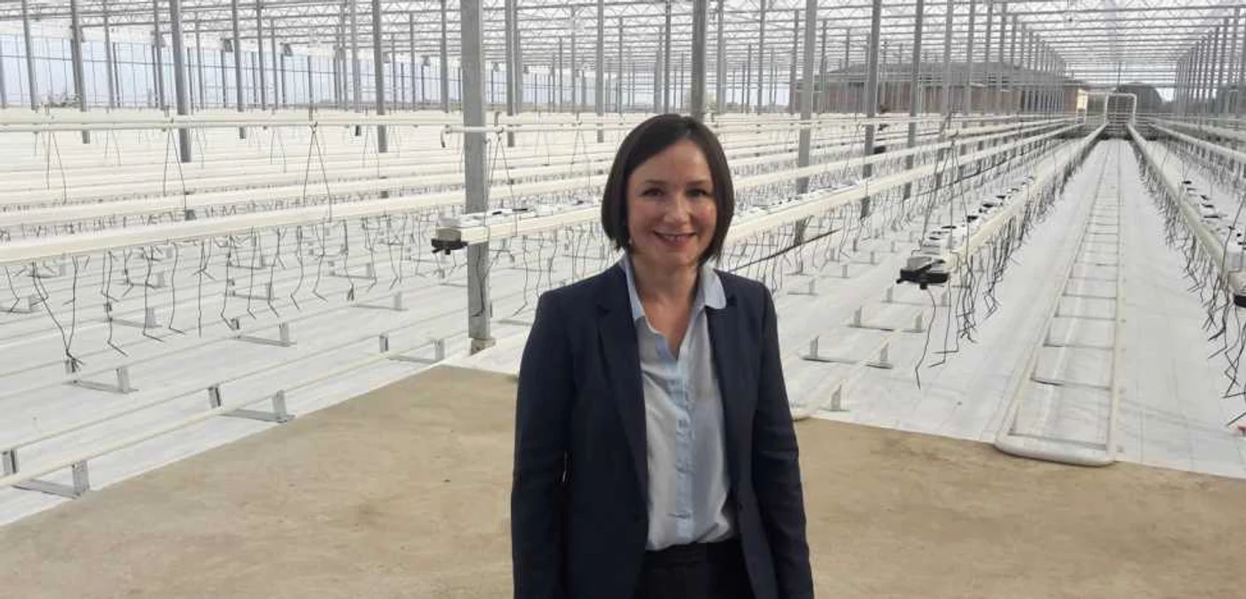 Silvia Răileanu în cea mai modernă seră din România, construită de olandezi FOTO Ş.Both