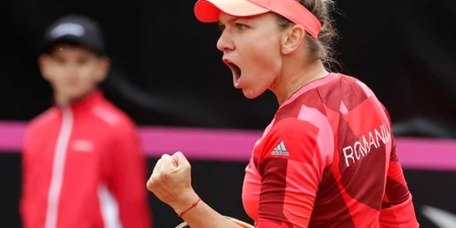 Simona Halep - Fed Cup FOTO Inquam Photos / George Calin