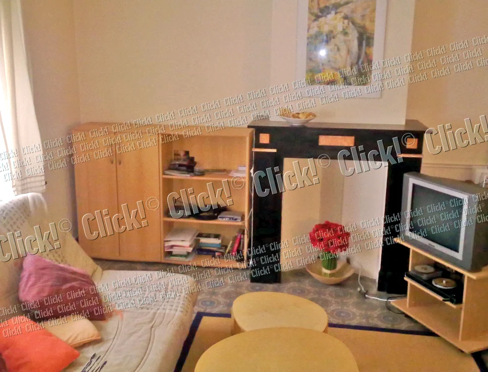 În casa de la Bruxelles,  Claudiu urmăreşte  doar posturile tv străine