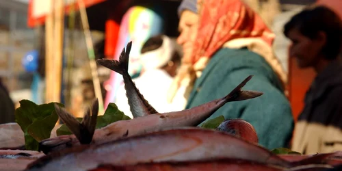 peste oameni mediafax