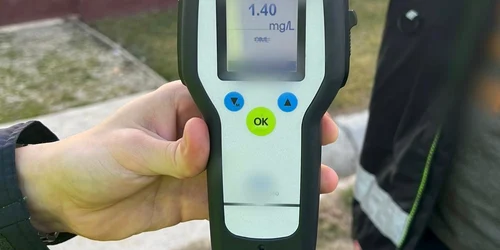Șoferul avea o alcoolemie de 1,40 mg/l. FOTO IPJ Dâmbovița