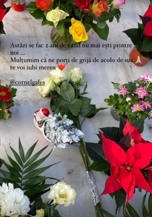 Mesajul fiicei vitrege, la doi ani de la moartea lui Cornel Galeșfoto: Instagram