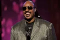 stevie9 jpeg