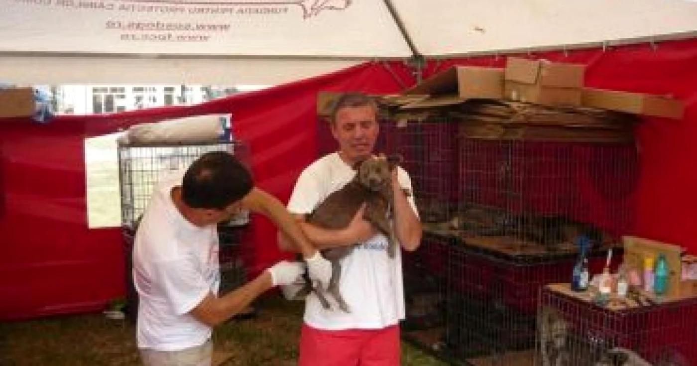 Medicii veterinari vor deschide un conflict de muncă prin blocarea activităţii