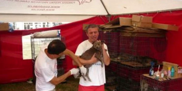 Medicii veterinari vor deschide un conflict de muncă prin blocarea activităţii