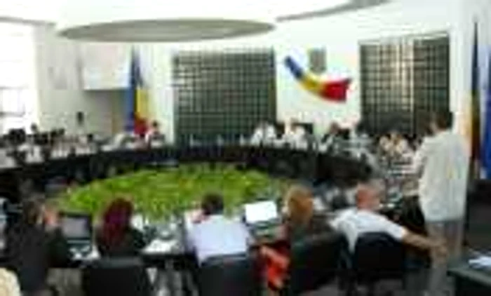 În şedinţa de vineri, cei trei consilieri ai PP-DD au fost alături de USL