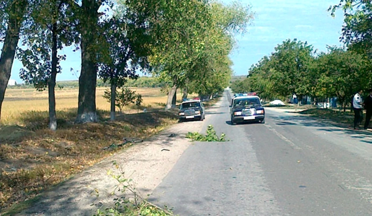 Șoferul a fost interceptat la câteva ore după producerea accidentului