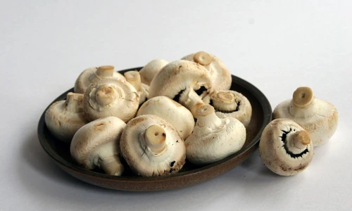 Mushrooms on earthenware plate jpeg
