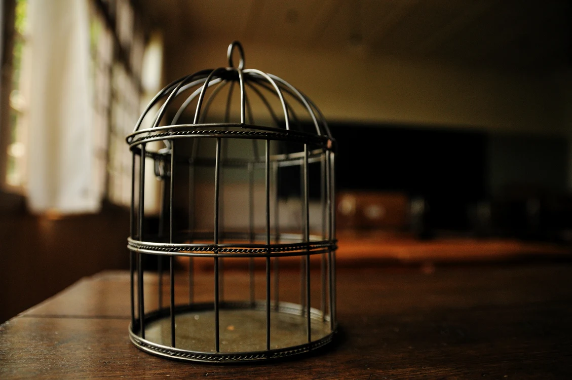 © flickr