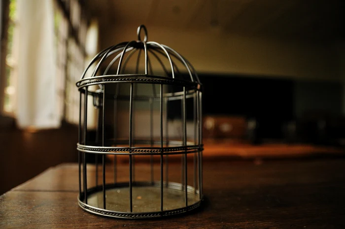 © flickr