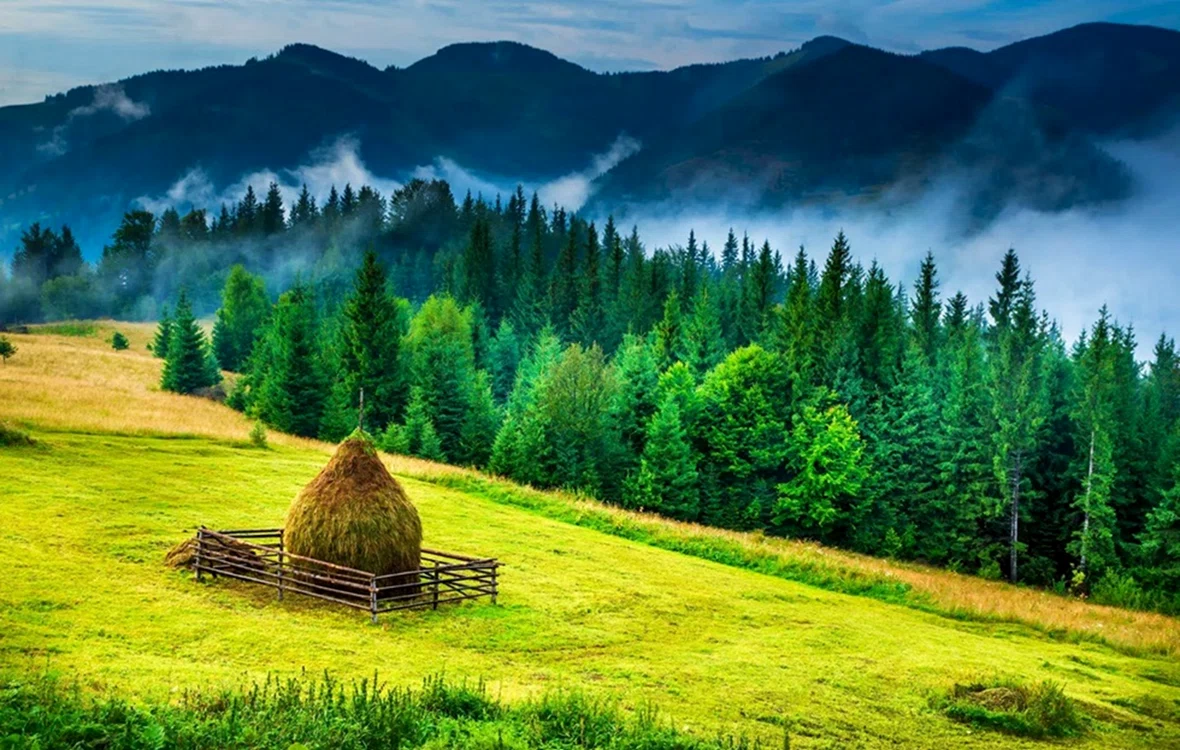 Peisaj din Bucovina FOTO arhivă