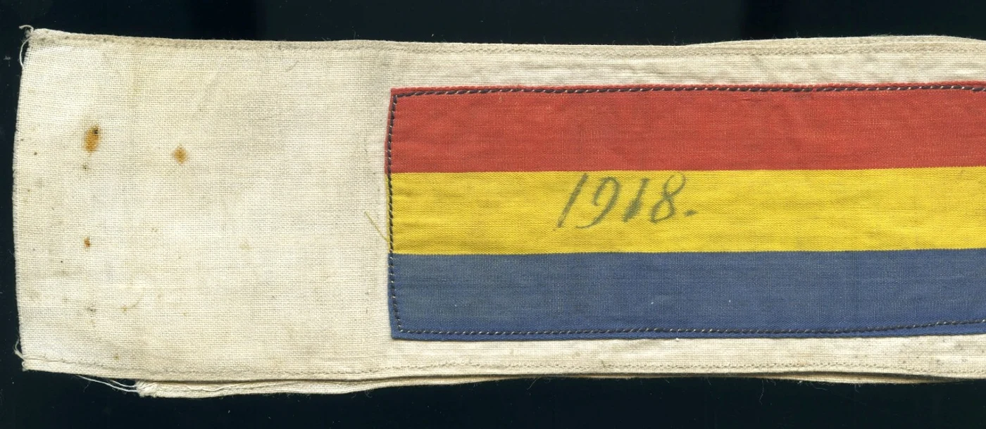 Albumul Marii Uniri expus pe 1 Decembrie, la Muzeul Național de Istorie a României