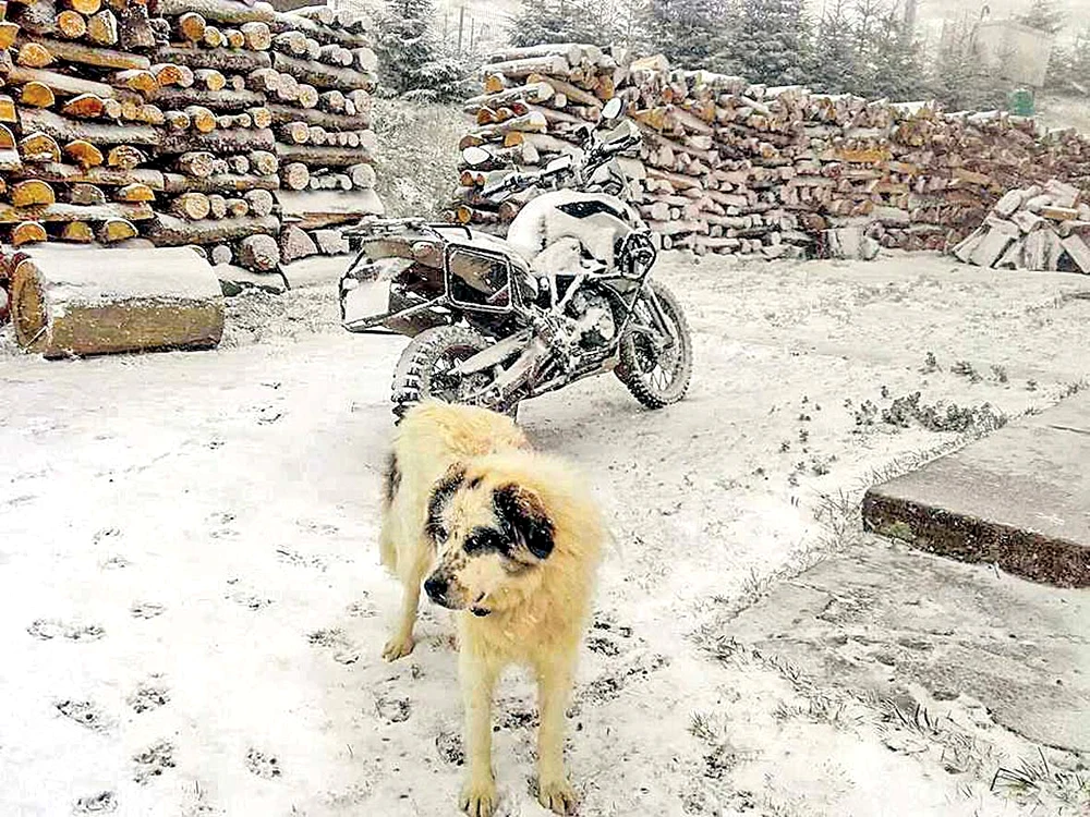Rarău. Zăpada s-a aşternut  în strat de 15 cm