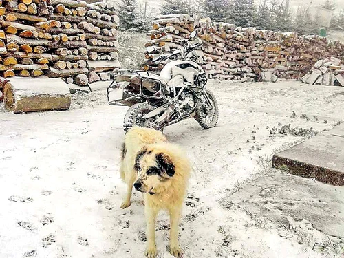 Rarău. Zăpada s-a aşternut în strat de 15 cm