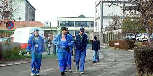 Muncitorii UAMT la Tribunal