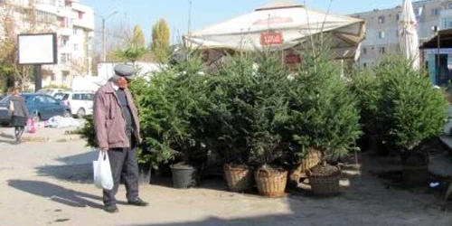 Brazii urmau să ajungă în pieţe Foto: arhivă